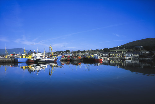 Dingle Harbour, Dingle, Co Kerry, Ireland PosterPrint - Item # VARDPI1803208