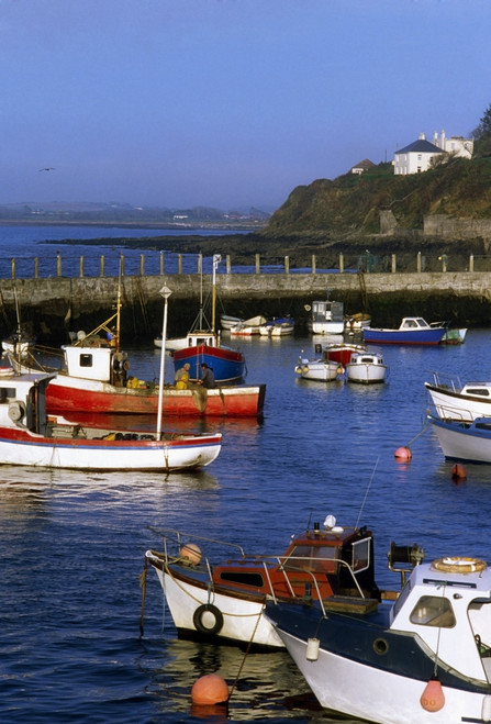 Ballycotton, Co Cork, Ireland; Harbour Of A Fishing Village PosterPrint - Item # VARDPI1808010