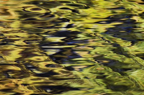 Oak And Maple Trees Reflections In Water. Autumn. PosterPrint - Item # VARDPI2066686