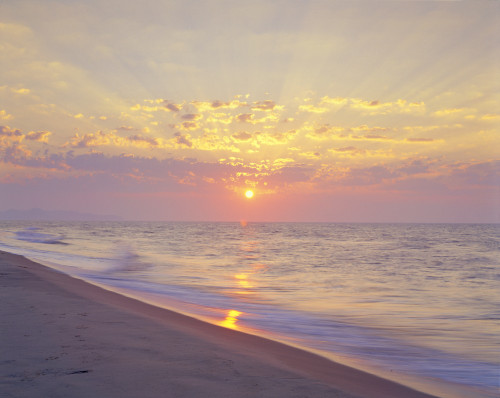 Beach At Sunrise, Iles-De-La-Madeleine, Quebec PosterPrint - Item # VARDPI2024385