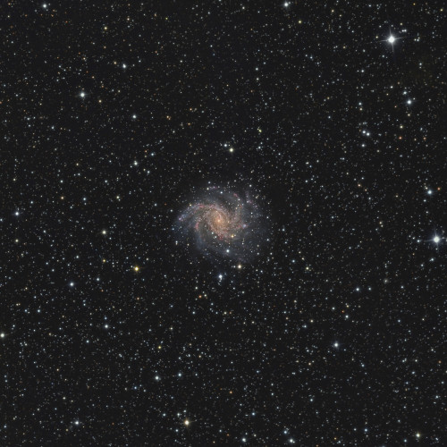 Spiral galaxy NGC 6946, also known as the Fireworks Galaxy Poster Print - Item # VARPSTRGE100049S