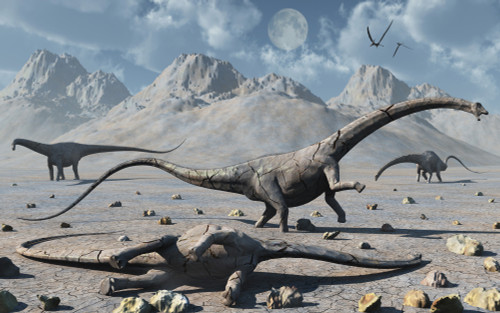 Petrified Diplodocus dinosaurs from the Jurassic Period Poster Print - Item # VARPSTMAS600008P