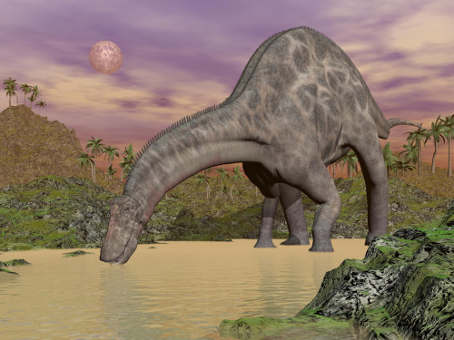 Large Dicraeosaurus dinosaur drinking water in a prehistoric landscape at night Poster Print - Item # VARPSTEDV600045P