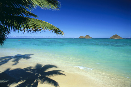 Hawaii, Oahu, Lanikai Beach With Calm Turquoise Water, Mokulua Islands Background Palm Fronds And Shadow Foreground PosterPrint - Item # VARDPI2002325