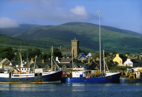 Co Kerry, Dingle Harbour PosterPrint - Item # VARDPI1816296