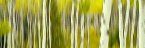http://c328301.r1.cf1.rackcdn.com/PPI166398S.jpg