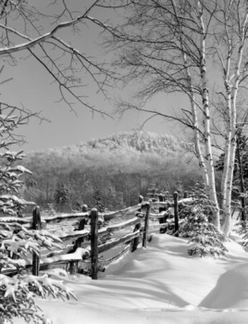 USA  New Hampshire  Winter landscape Poster Print - Item # VARSAL255423868