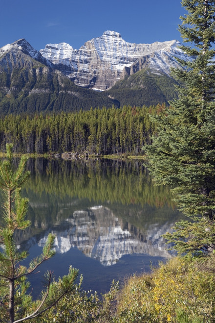 Banff National Park, Alberta, Canada; Reflection Of A Mountain In Herbert Lake PosterPrint - Item # VARDPI1866848