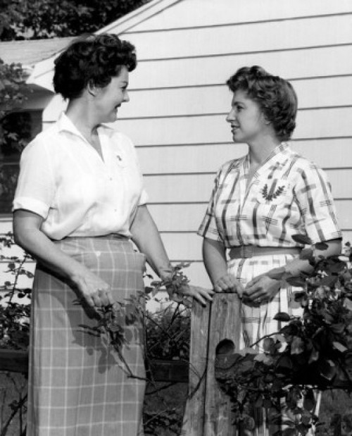 Two women talking over garden fence Poster Print - Item # VARSAL2558642