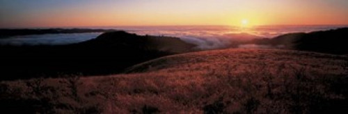 Santa Cruz Mountains  CA Poster Print by Panoramic Images (37 x 12) - Item # PPI65576