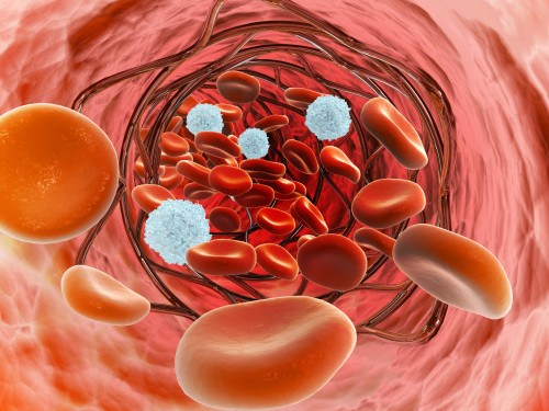 Microscopic view of blood flow inside an artery with stent deployment Poster Print - Item # VARPSTSTK700390H