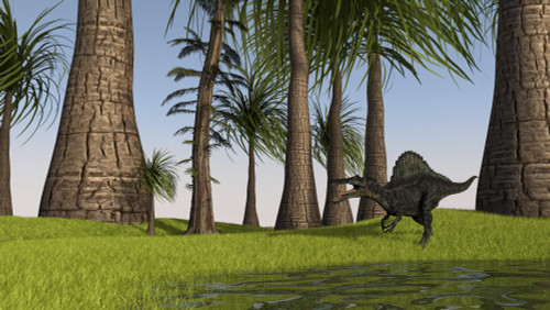 Spinosaurus hunting along the edge of a swamp Poster Print - Item # VARPSTKVA600635P
