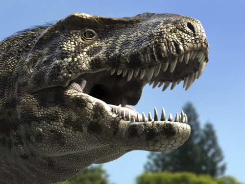 Detailed headshot of Tyrannosaurus Rex. Tyrannosaurus rex was a carnivore dinosaur that lived during the late Cretaceous Period in North America Poster Print - Item # VARPSTRNG600008P