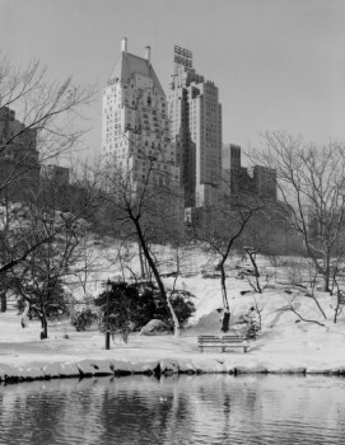 USA  New York City  Manhattan  Central Park  winter Poster Print - Item # VARSAL255422579