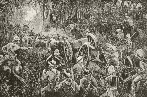 British Troops Force A Line Of Artillery Pieces Drawn By Oxen Teams Through The Bush During The First Boer War. From Afrika, Dets Opdagelse, Erobring Og Kolonisation, Published In Copenhagen, 1901. PosterPrint - Item # VARDPI1872914