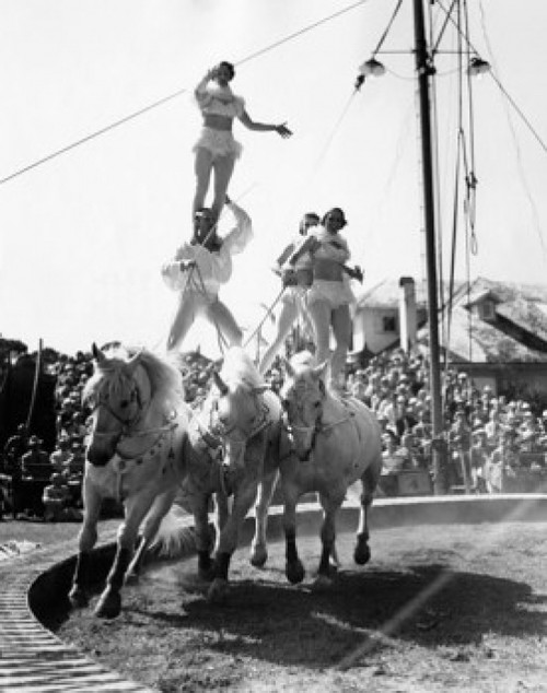 Acrobats performing in a circus Poster Print - Item # VARSAL2558088