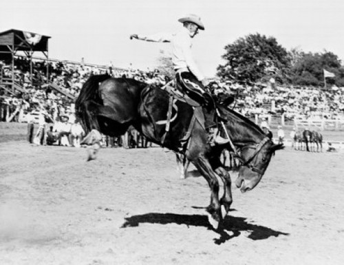 Cowboy riding bucking horse in rodeo Poster Print - Item # VARSAL25514684 Cowboy riding bucking horse in rodeo Poster Print - Item # VARSAL25514684