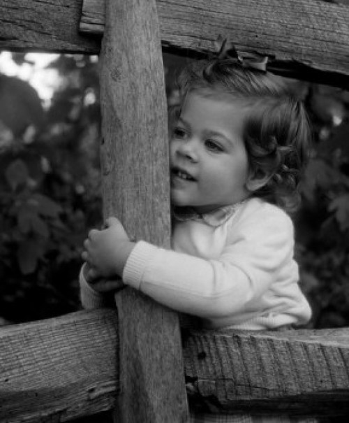 Little girl embracing fence Poster Print - Item # VARSAL255416471