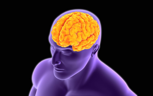 Conceptual image of human brain Poster Print