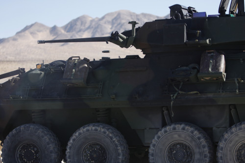 A light armored vehicle fires its 25mm Bushmaster chain gun Poster Print - Item # VARPSTSTK103374M