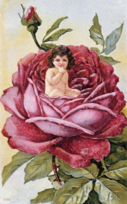 Child in a Rose Nostalgia Cards Poster Print - Item # VARSAL9801075