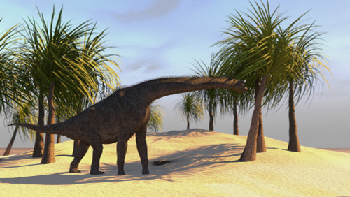 Large Brachiosaurus grazing Poster Print - Item # VARPSTKVA600261P