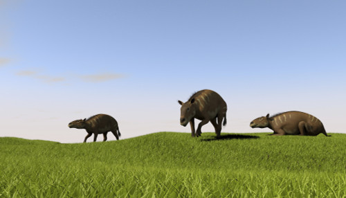 Eurohippus grazing prehistoric grasslands Poster Print - Item # VARPSTKVA600600P