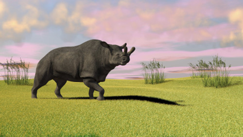 Brontotherium grazing in prehistoric grasslands Poster Print - Item # VARPSTKVA600022P
