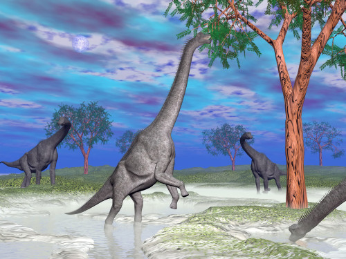 Brachiosaurus dinosaurs grazing on trees. Poster Print - Item # VARPSTEDV600017P