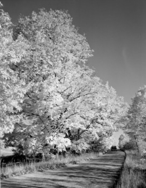 USA  Vermont  near Peacham  autumn Poster Print - Item # VARSAL255421555