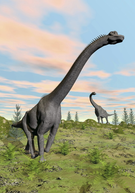 Two Brachiosaurus dinosaurs in a prehistoric environment Poster Print - Item # VARPSTEDV600089P