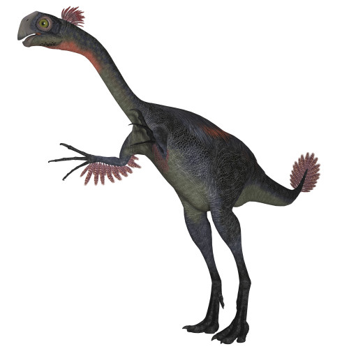 Gigantoraptor was a theropod dinosaur that lived in Inner Mongolia, China in the Cretaceous Period Poster Print - Item # VARPSTCFR200585P