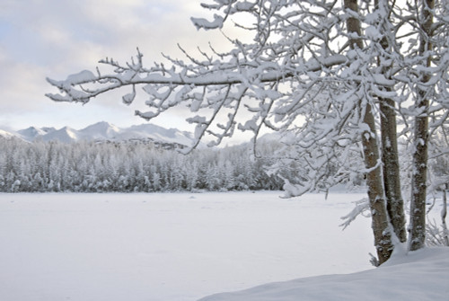 View Of Snow Covered Cheney Lake On A Winter Afternoon In East Anchorage With Chugach Mountains In The Background, Southcentral Alaska PosterPrint - Item # VARDPI2139480