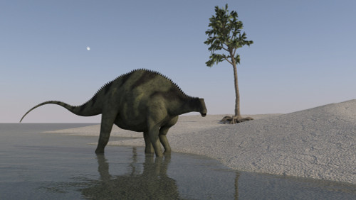 Brachytrachelopan walking along shallow water Poster Print - Item # VARPSTKVA600403P