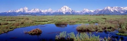 Grand Teton Park  Wyoming Poster Print by Panoramic Images (38 x 12) - Item # PPI14767