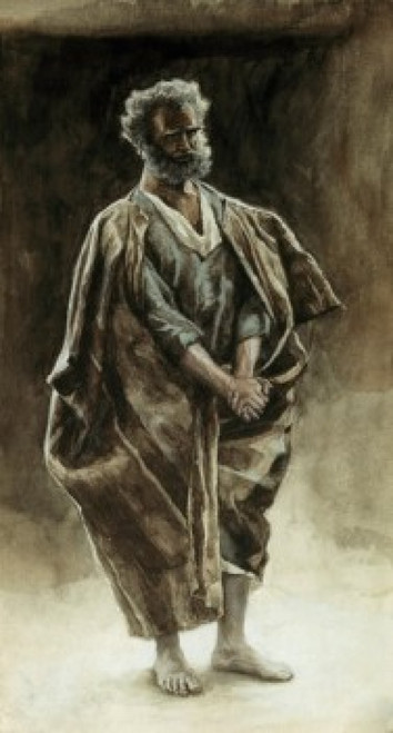 Peter  James Tissot Poster Print - Item # VARSAL9999229