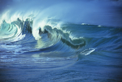 Rough Seas, Large Curling Waves And Cloudy Sky PosterPrint - Item # VARDPI1993291