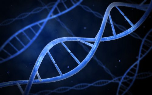 Microscopic view of DNA Poster Print - Item # VARPSTSTK700021H