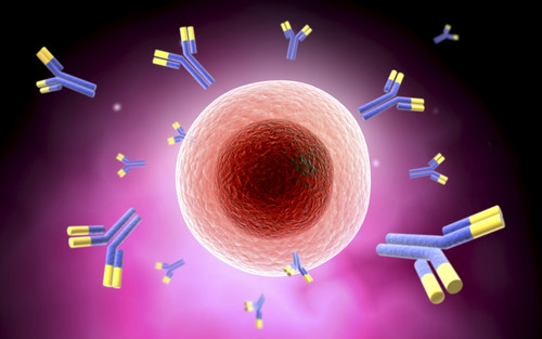 Microscopic view of cell and antibody Poster Print