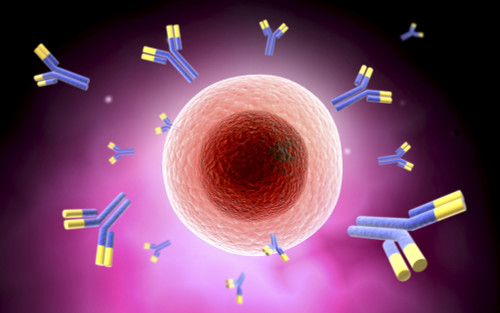 Microscopic view of cell and antibody Poster Print - Item # VARPSTSTK701031H