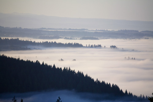 View Of Fog-Covered Willamette Valley From Mt. Scott, Oregon, Usa PosterPrint - Item # VARDPI1830309