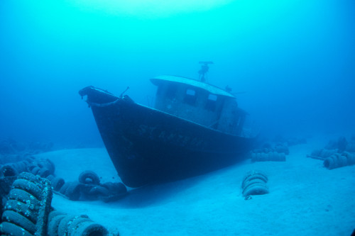 Hawaii, Maui, Kihei, Front View Of St. Anthony Wreck In Deep Blue Water PosterPrint - Item # VARDPI2002061