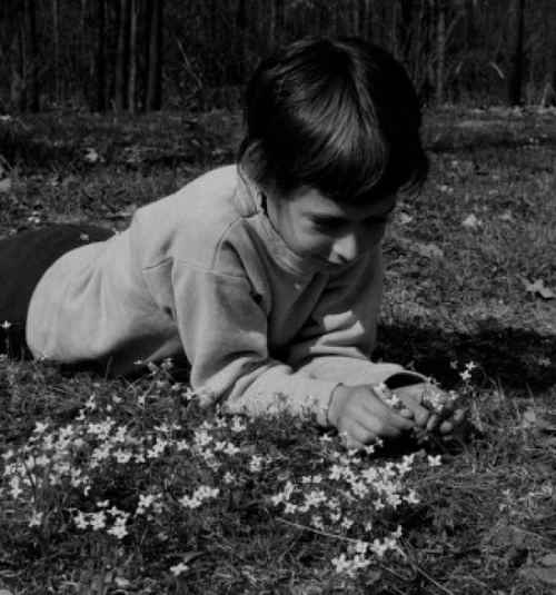Girl picking flowers in field Poster Print