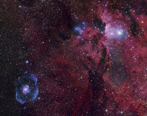 Emission nebula NGC 6188 with the bright open cluster 6193, star formation region in Ara Poster Print - Item # VARPSTGEN100173S
