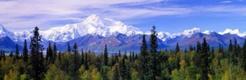 Denali National Park  Alaska36.930 Poster Print by Panoramic Images (12 x 37) - Item # PPI68931