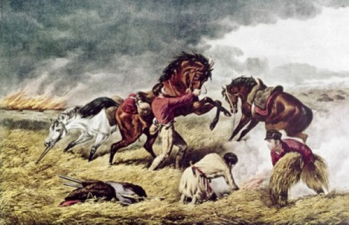 Life of Prairie by Currier & Ives  Poster Print - Item # VARSAL900131973