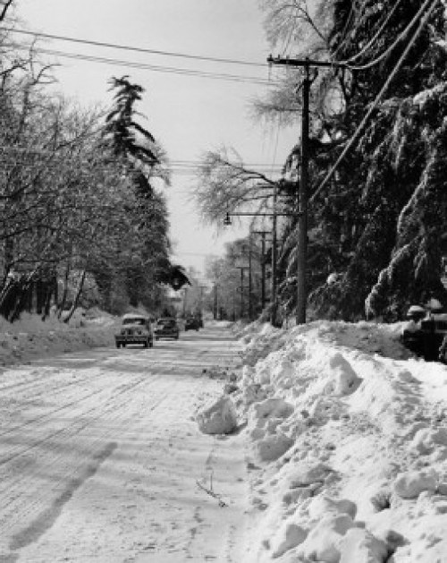 Cars moving on a road  Long Island  New York  USA Poster Print - Item # VARSAL25525499
