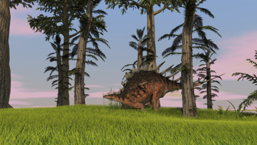 Kentrosaurus walking across a grassy field Poster Print - Item # VARPSTKVA600532P