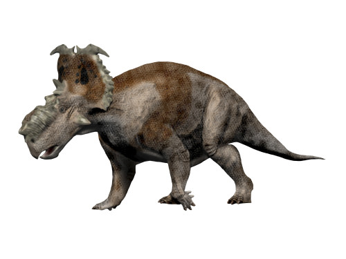 Pachyrhinosaurus dinosaur, white background Poster Print - Item # VARPSTNBT600135P