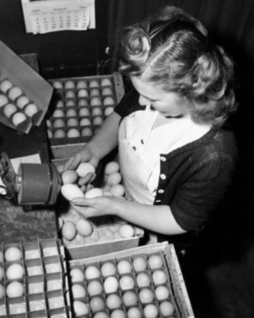 High angle view of a young woman examining eggs for freshness Poster Print - Item # VARSAL25529747
